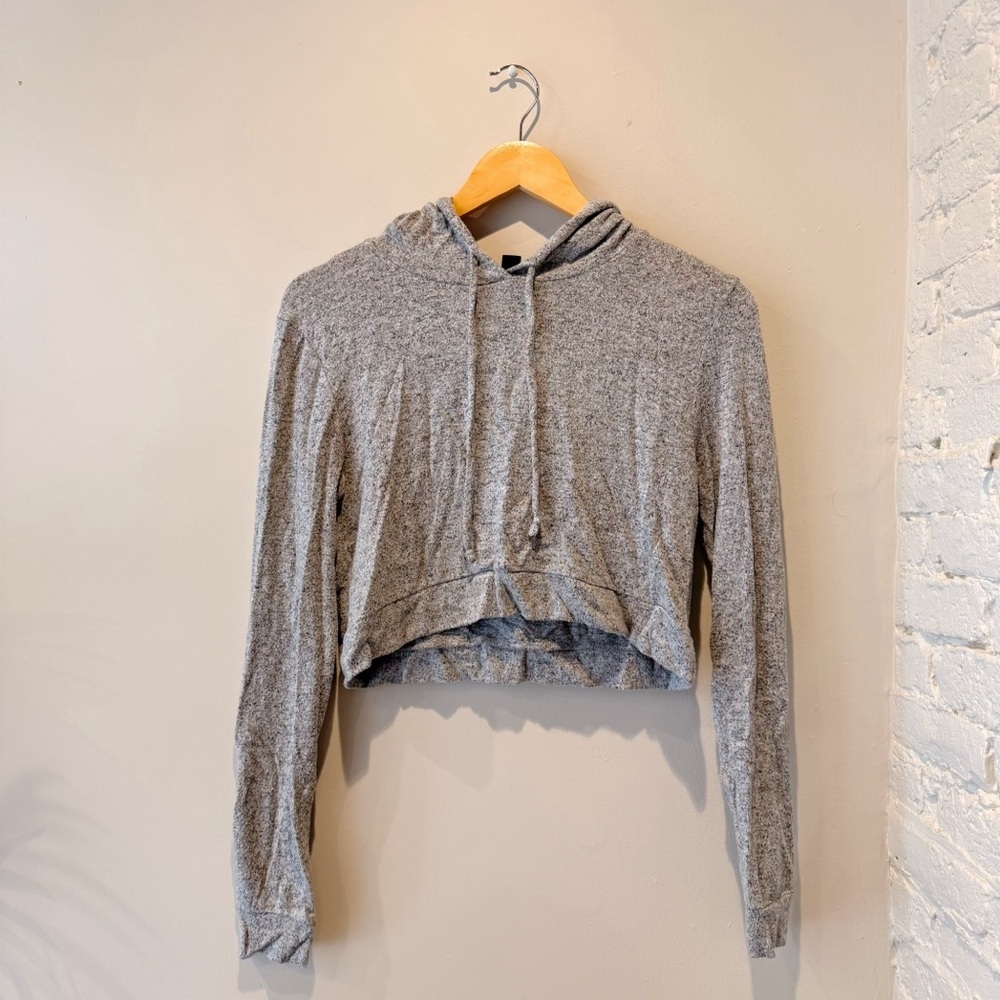 Windsor Cropped Gray Pullover Hooded Sweatshirt